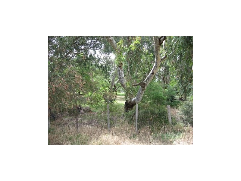 Marlborough Street, Longford TAS 7301