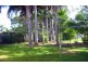8 Bellis Street, Daisy Hill QLD 4127
