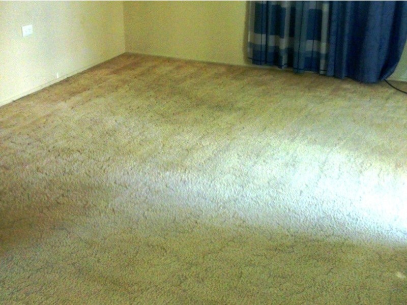 36 ettie street, Redcliffe QLD 4020