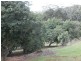Flaxton QLD 4560