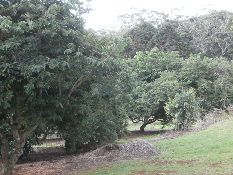 Flaxton QLD 4560