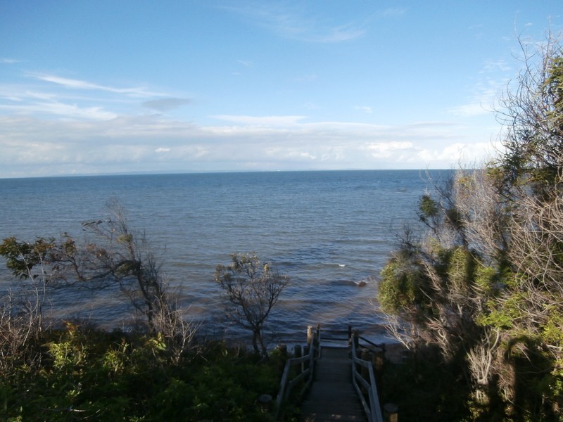 Scarborough QLD 4020