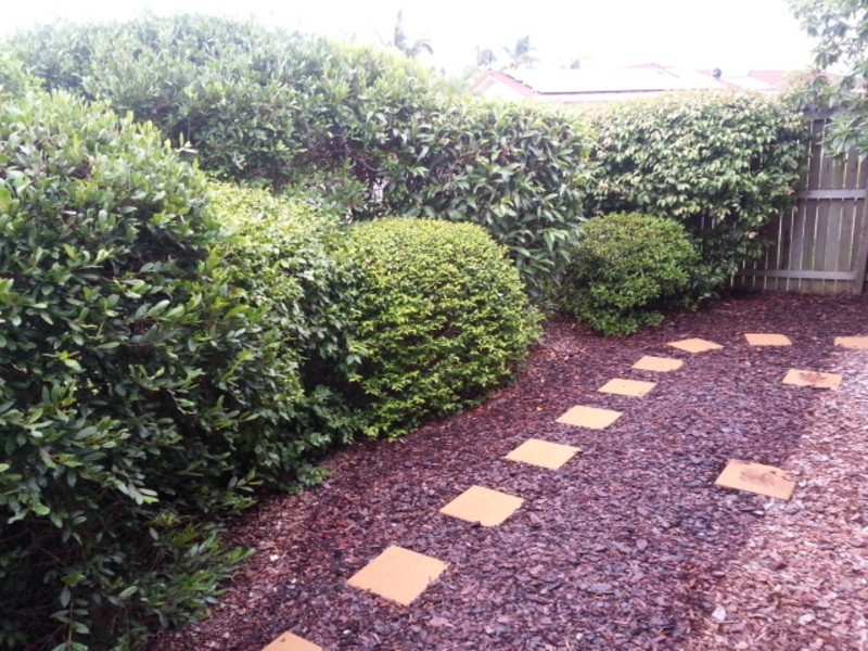 42 Denison Court, Meadowbrook QLD 4131