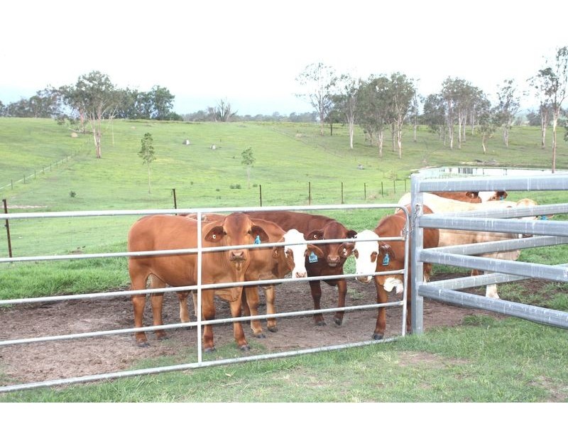 2843 Beaudesert-Beenleigh Road, Mundoolun QLD 4285