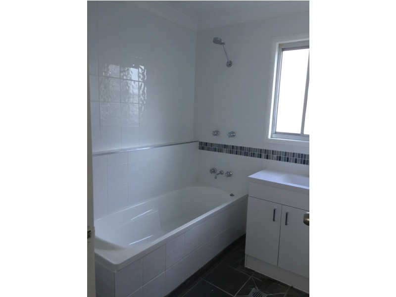 19 Colburn street, Cleveland QLD 4163