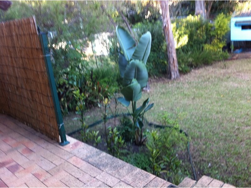 49 London Street, Eight Mile Plains QLD 4113