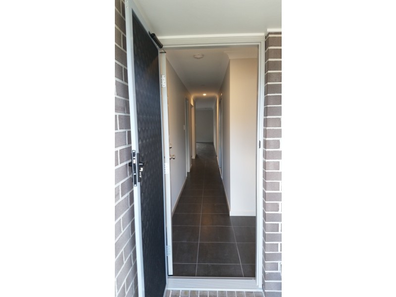 159 Dixon Drive, Pimpama QLD 4209