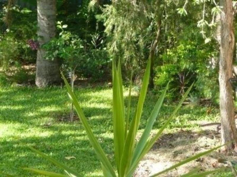 49 London Street, Eight Mile Plains QLD 4113