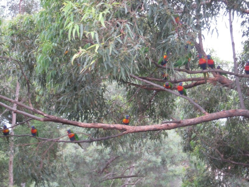 8/57-59 Lane St, Wentworthville NSW 2145