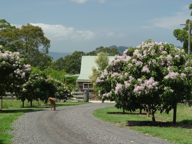 Bellawongarah NSW 2535