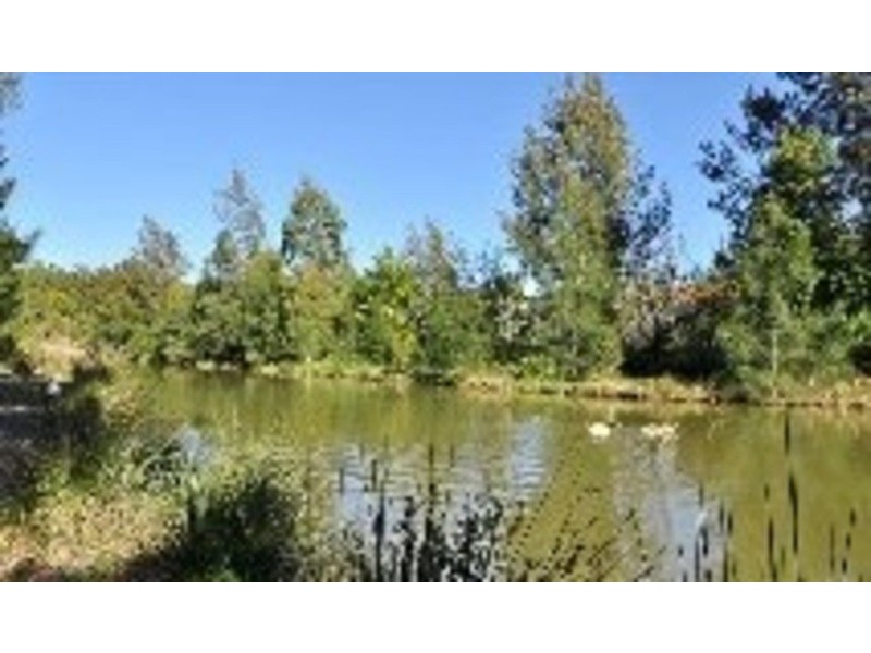 15 Mindaribba Av, Rouse Hill NSW 2155