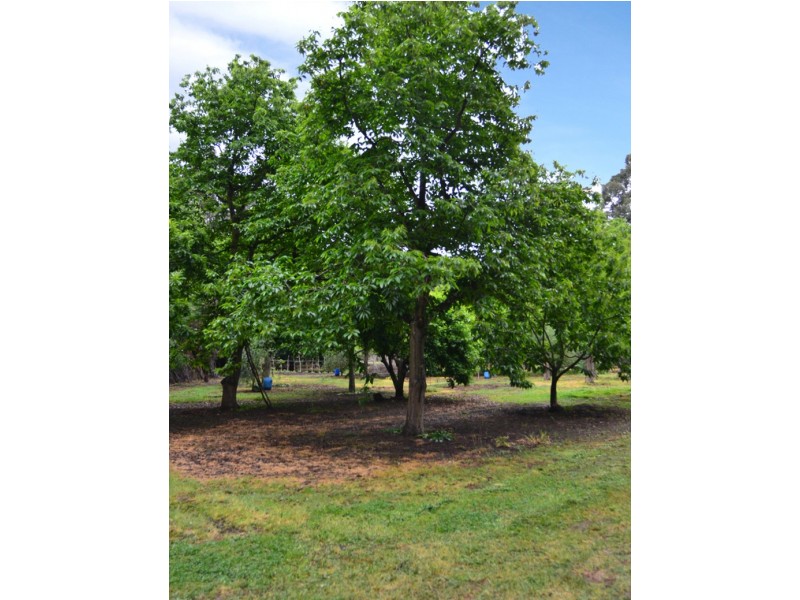 3008  Broadford – Flowerdale Road, Flowerdale VIC 3717