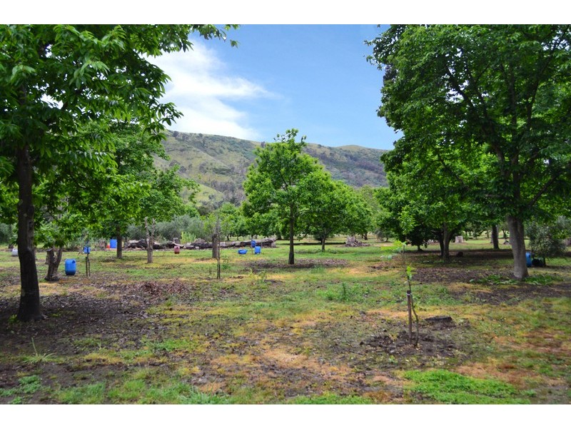 3008  Broadford – Flowerdale Road, Flowerdale VIC 3717