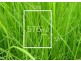Lot 615 Hestia Court, South Morang VIC 3752