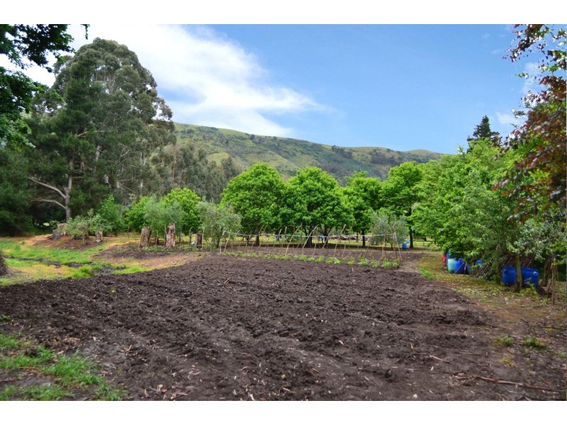 3008  Broadford – Flowerdale Road, Flowerdale VIC 3717