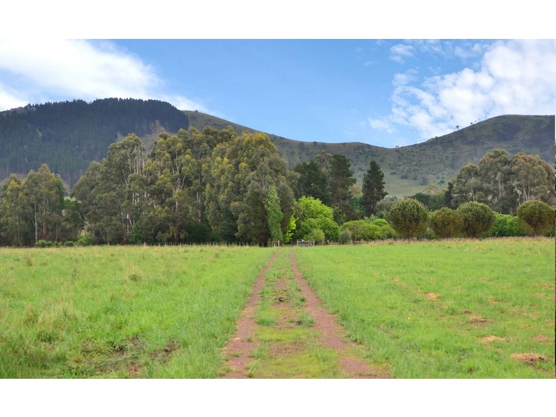 3008 Broadford – Flowerdale Road, Flowerdale VIC 3717