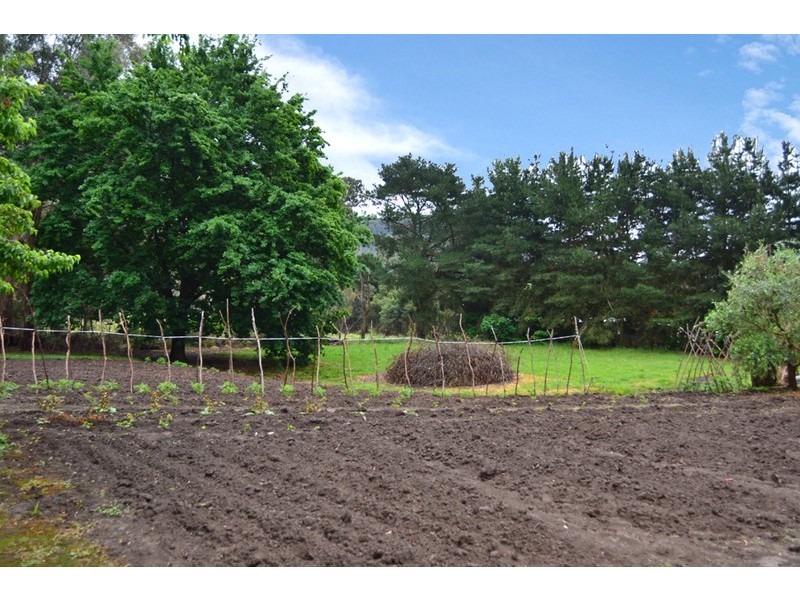 3008 Broadford – Flowerdale Road, Flowerdale VIC 3717