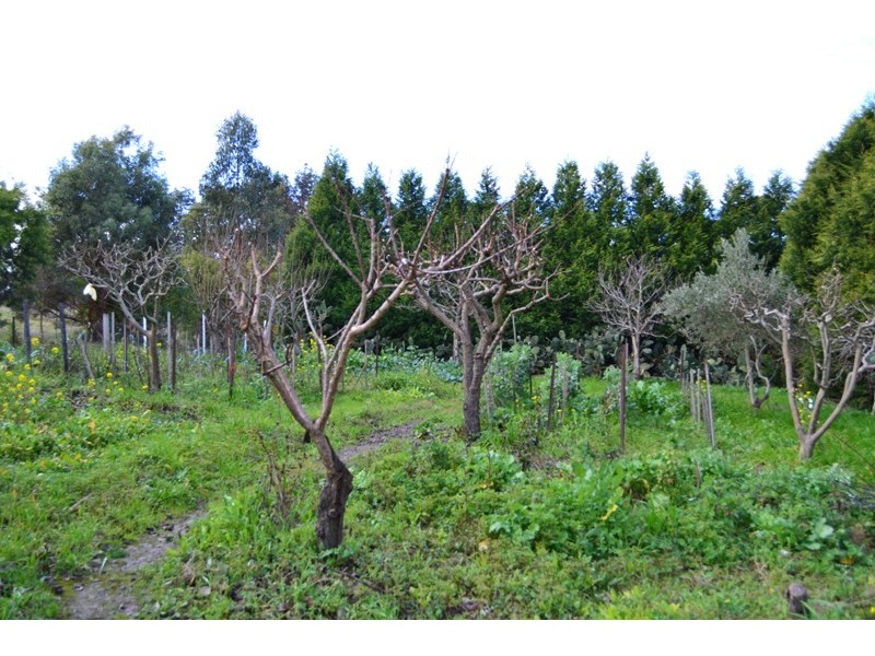 285 Fifth Avenue, Eden Park VIC 3757