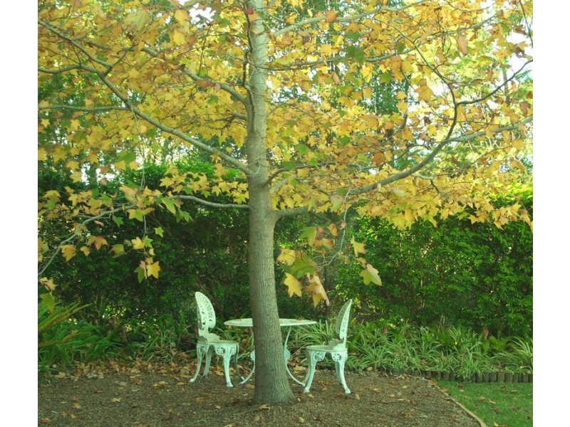 7 Hats Street, Killcare Heights NSW 2257