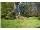 1  Iluka Road, Umina Beach NSW 2257