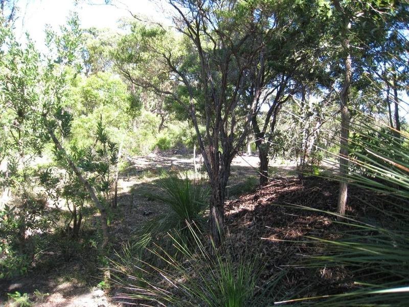 Umina Beach NSW 2257