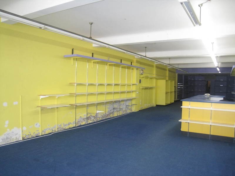 241  West Street, Umina Beach NSW 2257