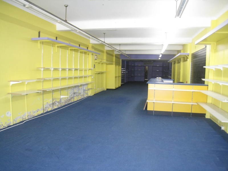 241  West Street, Umina Beach NSW 2257