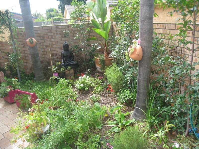 Umina Beach NSW 2257