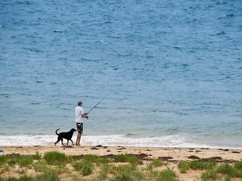 Ettalong Beach NSW 2257