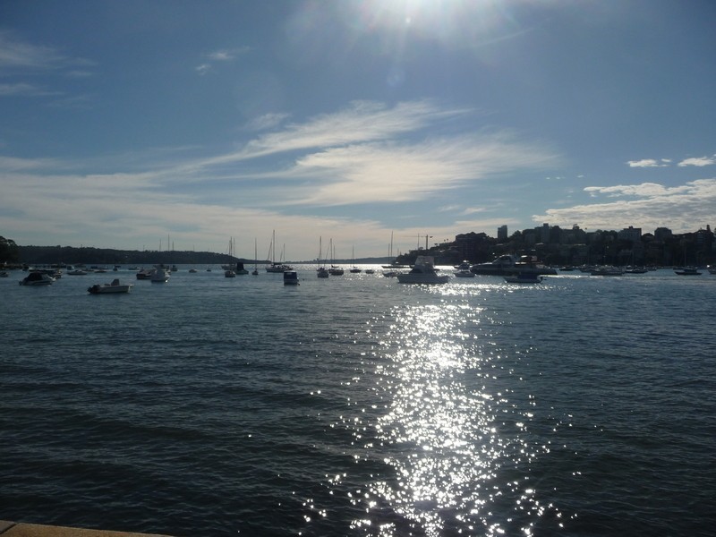 1/22 Greenoaks Avenue, Double Bay NSW 2028