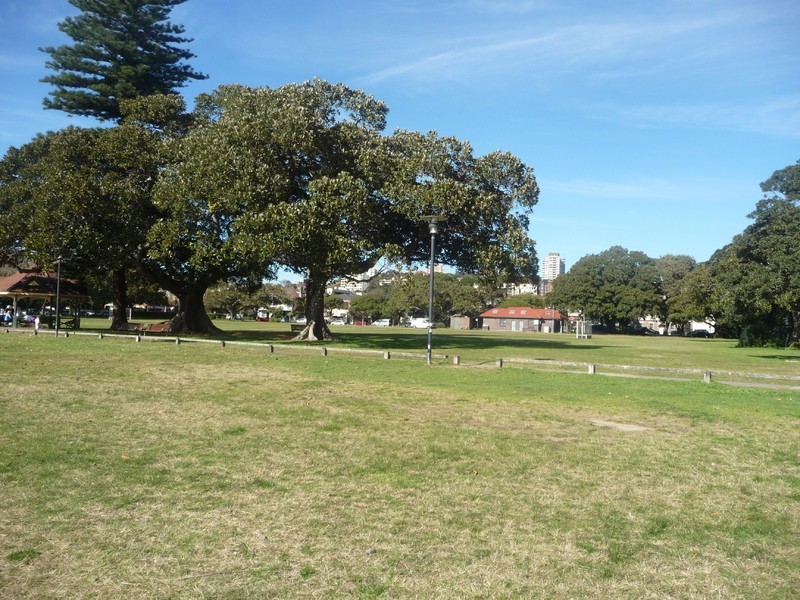 1/22 Greenoaks Avenue, Double Bay NSW 2028