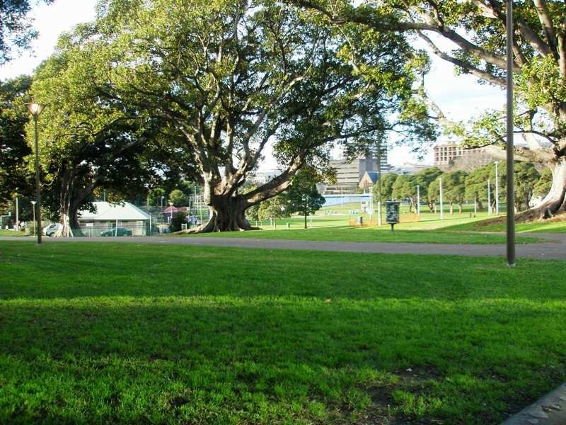 21/187 Cleveland Street, Redfern NSW 2016