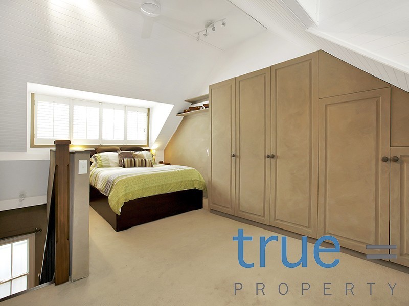 166 Wyndham Street, Alexandria NSW 2015