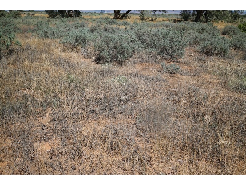 Lot 32 Paltridge Avenue, Stirling North SA 5710