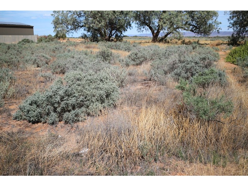 Lot 32 Paltridge Avenue, Stirling North SA 5710