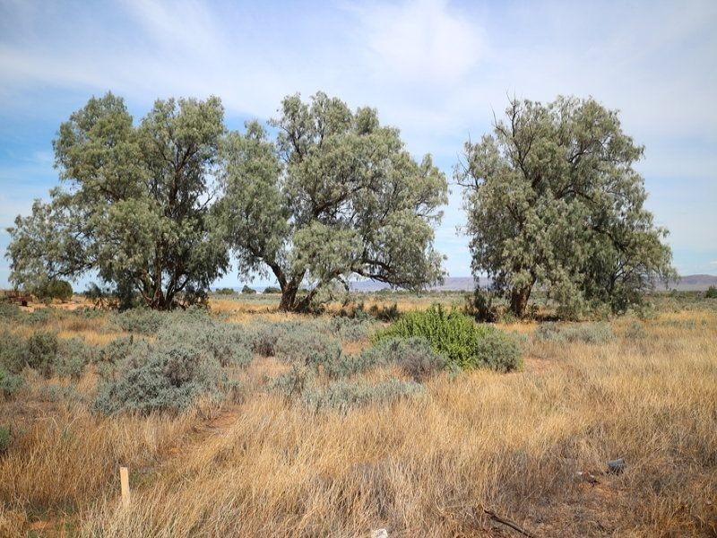 Lot 2 Paltridge Avenue, Stirling North SA 5710