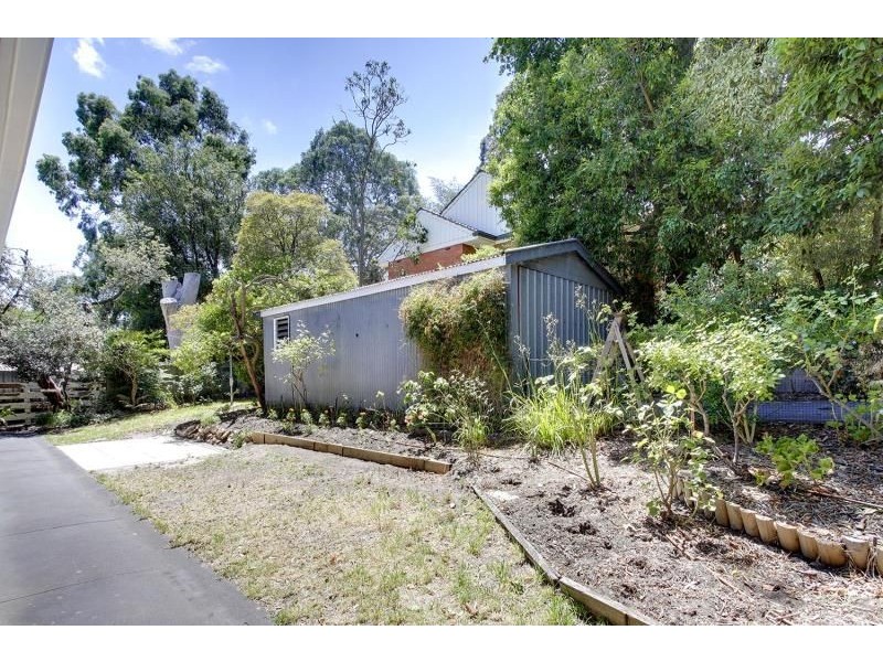 19 Currawong Avenue, Glenalta SA 5052