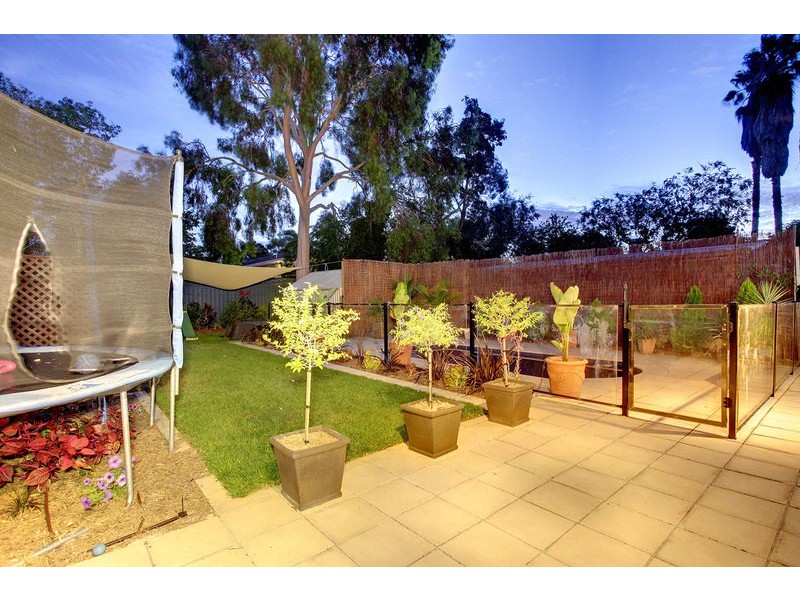 55 Young Street, Parkside SA 5063