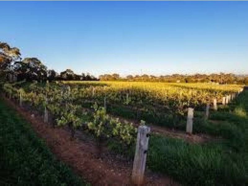 24 Koongarra Avenue, Magill SA 5072