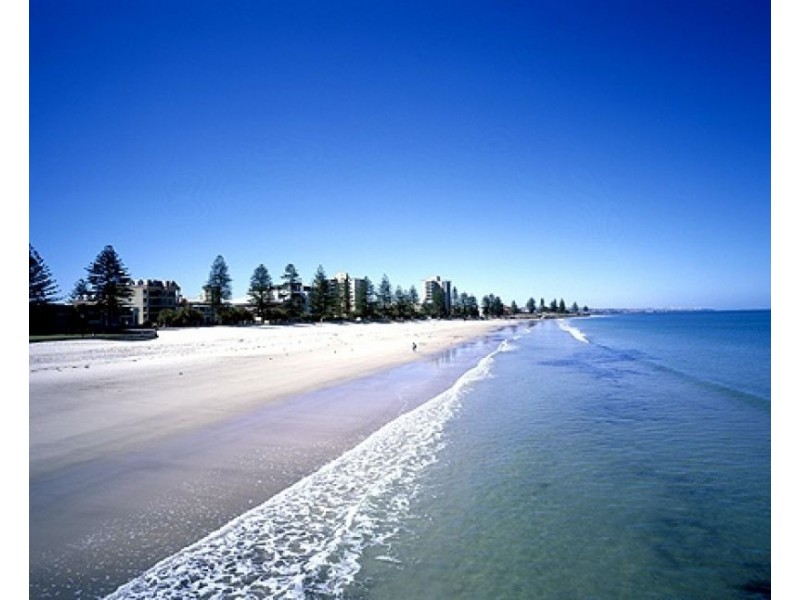 19 Broughton Avenue, Kurralta Park SA 5037