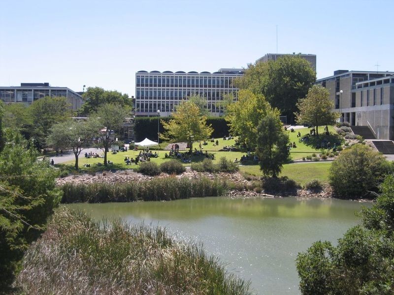 10 Macklin Street, Sturt SA 5047