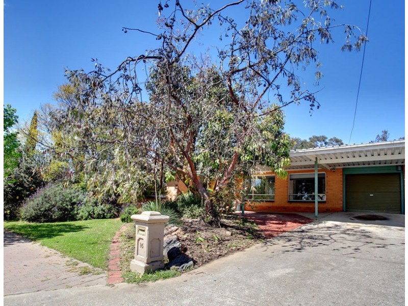 16 Silvermere Avenue, Paradise SA 5075