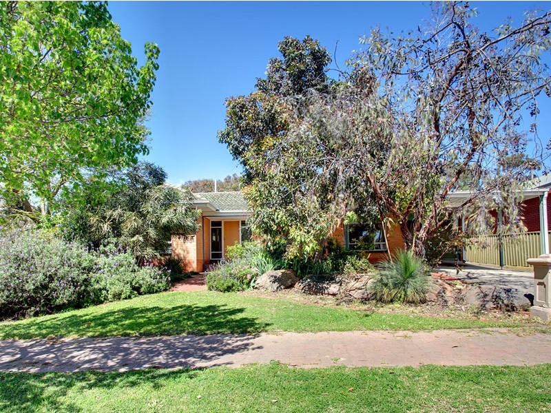 16 Silvermere Avenue, Paradise SA 5075