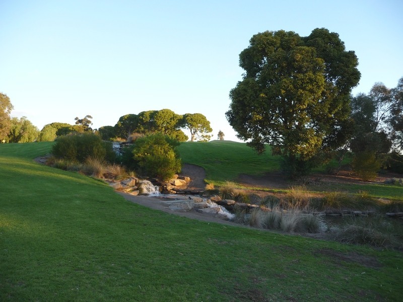 16 Silvermere Avenue, Paradise SA 5075