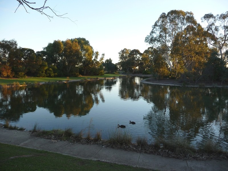 16 Silvermere Avenue, Paradise SA 5075