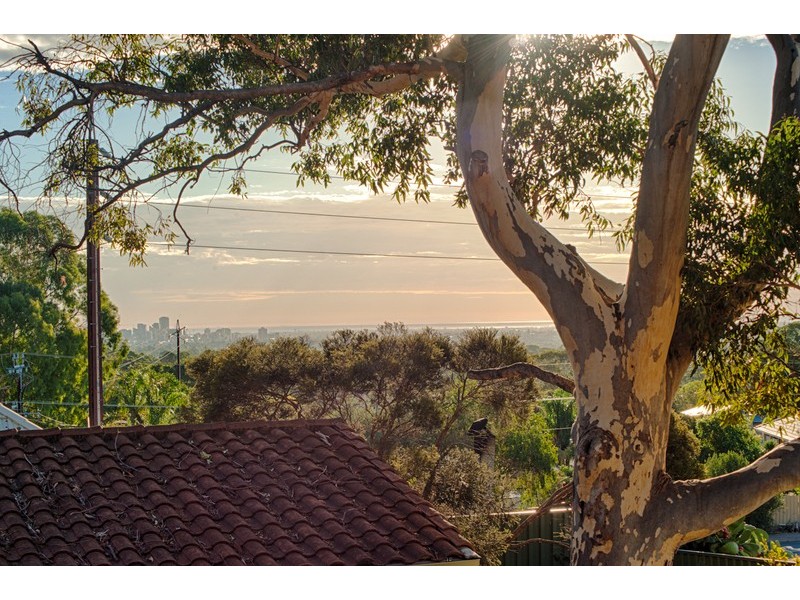 1/29 Norton Summit Road, Woodforde SA 5072
