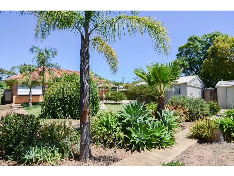 10 Irwin Avenue, Millswood SA 5034