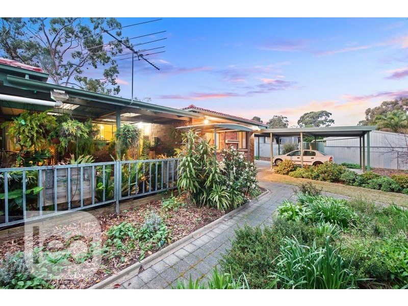 15 Birman Crescent, Flagstaff Hill SA 5159