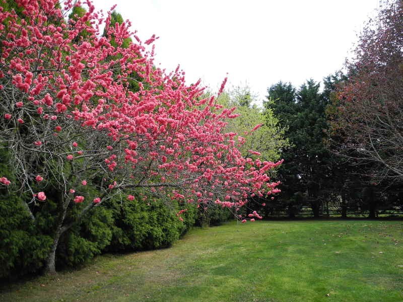 225 Ringwood Road, Exeter NSW 2579