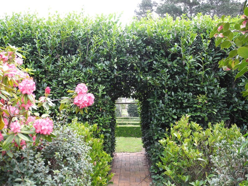 225 Ringwood Road, Exeter NSW 2579